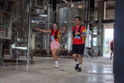 Q4233745