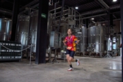 Z4233412