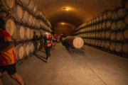 A4231540