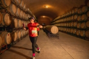 C4231837