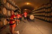 E4231814