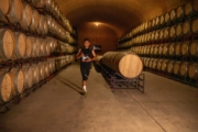 J4230709