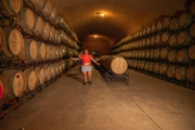 M4231620