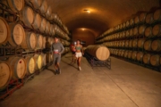 Z4231194