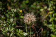 F4252798