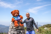 C4240176