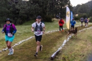 D4238079