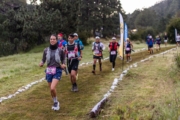 F4238291