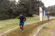J4238523