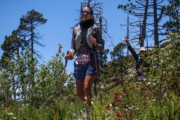 Q4241603