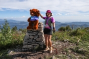 Q4243708