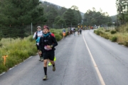W4237863