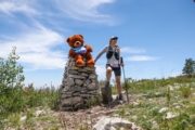 Z4242091
