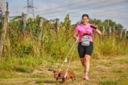 H4236077