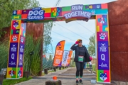 E4235582