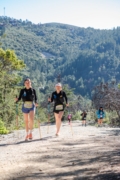B4236751