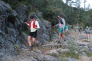 T4246798