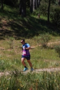 D4264827