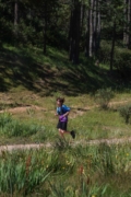 G4264054