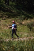 H4262635