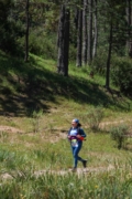 K4260775