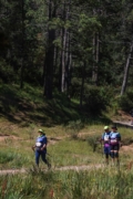 L4263788