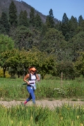 N4262047