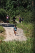 P4259942