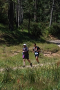 T4264739