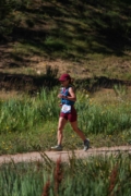 W4262641