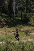 W4264654
