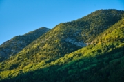 C4255105
