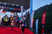 T4254695