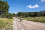 B4269553