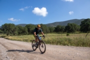 S4268447