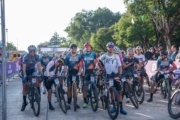 D4273223