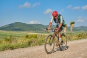 D4270498