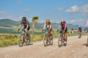 E4271381