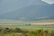 N4270509