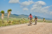 O4270361