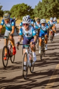 L4274631
