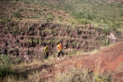 C4278194