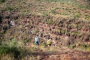 D4277782