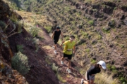 D4277958