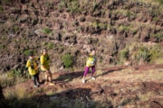 D4278213