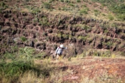 H4278244