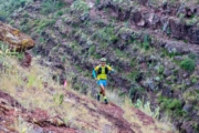 L4276614