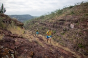 M4277019