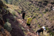 N4277959