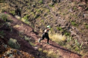 O4277839